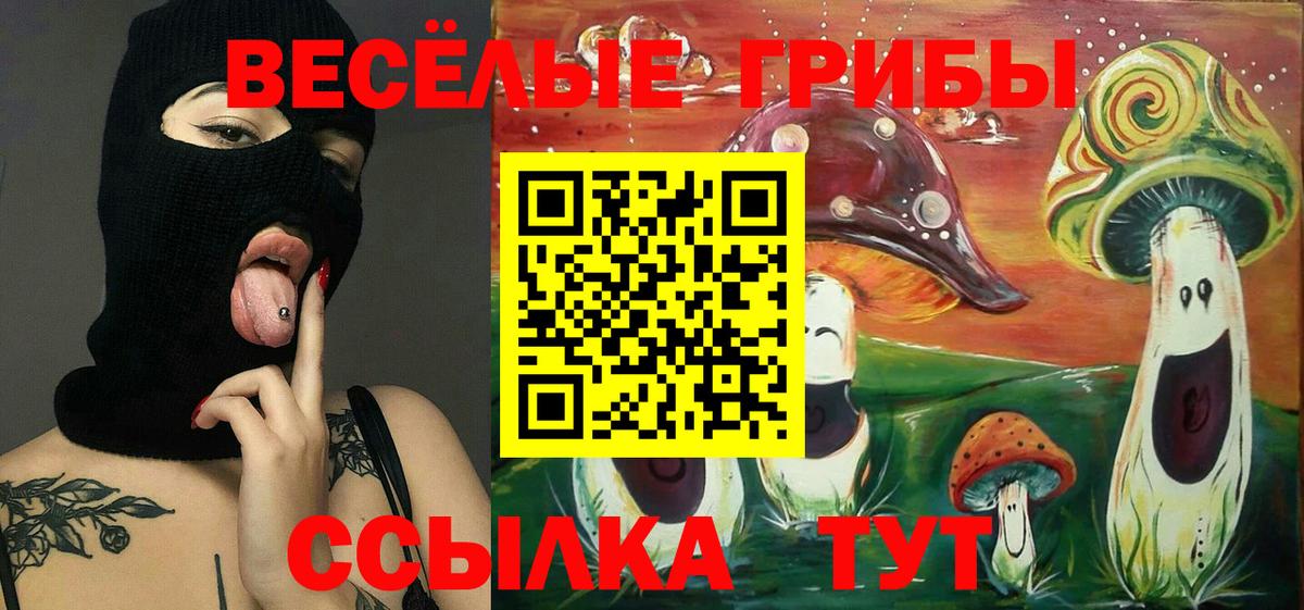 Кропоткин  Псилоцибиновые грибы Psilocybe  Вход с VPN 